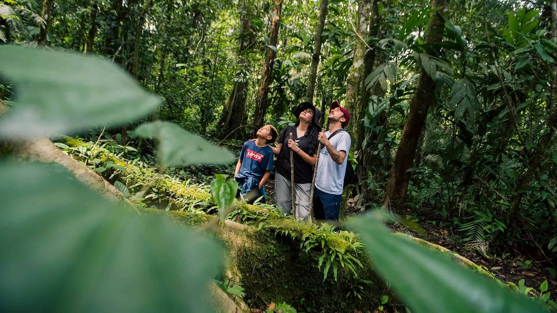 Itamandi Ecolodge