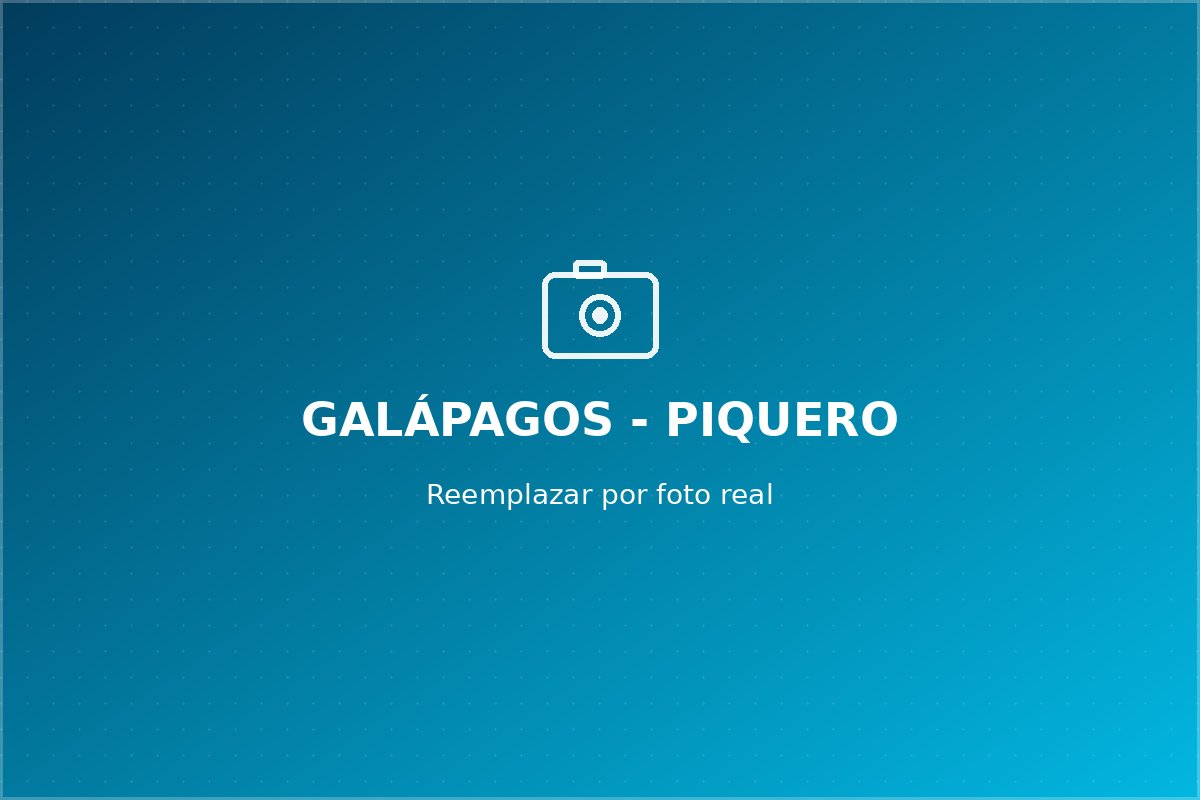 Piquero de patas azules, fauna endémica de Galápagos